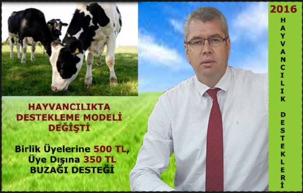 HAYVANCILIKTA DESTEKLEME MODEL DET