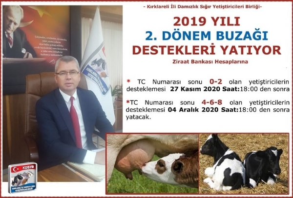 2019 YILI 2. DNEM BUZAI DESTEKLER YATIYOR