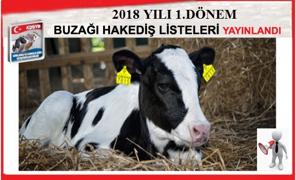 2018 YILI 1.DNEM BUZAI HAKED LSTELER YAYINLANDI