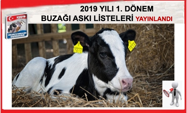 2019 YILI 1.DNEM BUZAI ASKI LSTELER YAYINLANDI