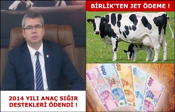 Damzlk Birliinden Jet deme !