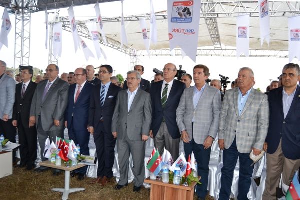 Azerbaycana Dve hracat