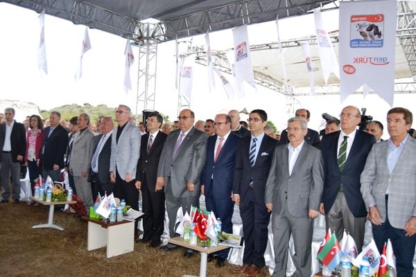Azerbaycana Dve hracat