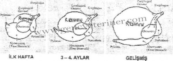 2014 Tarmsal Yaym ve Danmanlk Hizmetleri