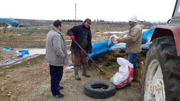 2014 Tarmsal Yaym ve Danmanlk Hizmetleri