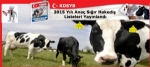2015 Yılı Anaç Sığır Hakediş Listeleri Yayınlandı
