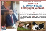 2019 YILI 2. DNEM BUZAI DESTEKLER YATIYOR