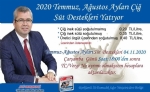 Temmuz- Austos i St Destekleri Yatyor