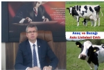 Anaç ve Buzağı Askı Listeleri Çıktı !