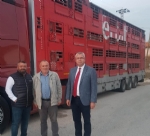 Damızlık Birliği’nden Erzurum’un Aziziye İlçesine Düve Sevkiyatı