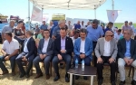 Alacaoğlu Köyü’nde Yulaf Çeşitliliği Tarla Günü
