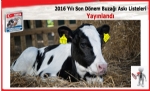 2016 Yılı Son Dönem Buzağı Askı Listeleri Yayınlandı