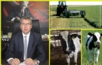 ANAÇ SIĞIR DESTEKLERİ ÖDENDİ!